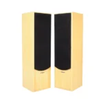 Accoustic Solution AV-120 Floorstand Speakers in kenya at mtronics audio shop