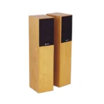 Accoustic Solution KA-125 Floorstand Speakers in kenya at mtronics audio shop