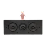 Pioneer SP-C22 Center Channel Speaker in kenya at mtronics audio shop